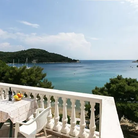 Apartment Franka Saplunara-one-bedroom With Terrace And Sea View No1 Korita