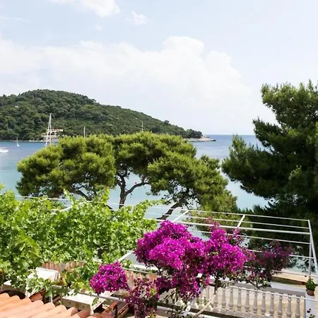 Franka Saplunara-one-bedroom With Terrace And Sea View No1 Korita